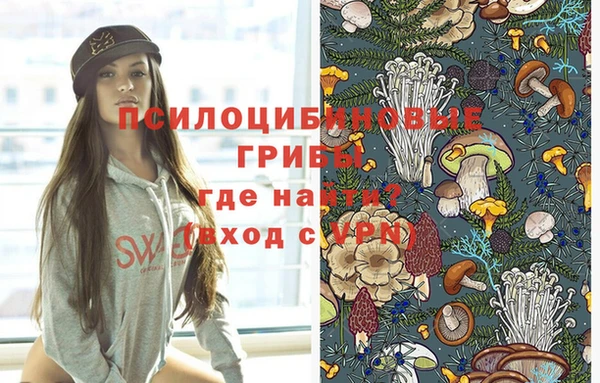 СК Беломорск
