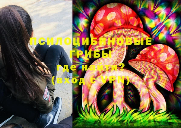 гидропоника Гусь-Хрустальный